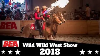 Wild Wild West Show | Freiberger Western Show Team