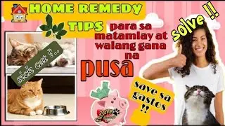 PusangWangGana #PusangMatamlay #MaySakitNaPusa #AyawKumainNaPusa