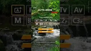 Auto vs Program Mode: Camera Settings Explained! #CanonIndia