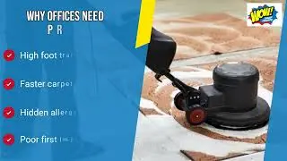 Tailored Carpet Care Programs for Local Offices in Brisbane | Professional, Hygienic Workspaces
