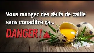 VOUS MANGEZ DES ŒUFS DE CAILLE SANS CONNAITRE ÇA…
