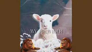 My Provider