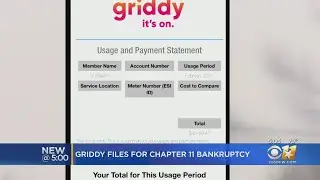 Former Texas Wholesale Electricity Provider Griddy Files For Bankruptcy