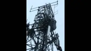 Building LTE Cell Network.