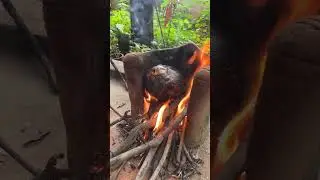 Panam palam palmyra fruit cooking village cooking Panam palam from pannaimaram palm tree