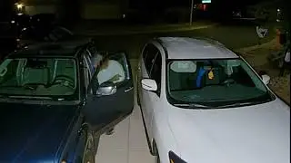 Scares Off Car Prowler Just in Time caught on CCTV Footage