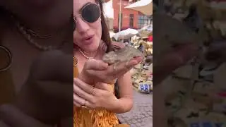 Lucy hale stories