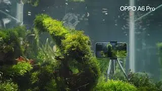 OPPO A6 Pro | Underwater Photography & Live Streaming