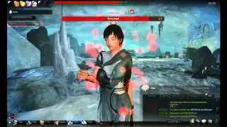 Vindictus - Evie fighting a boss solo LVL 18