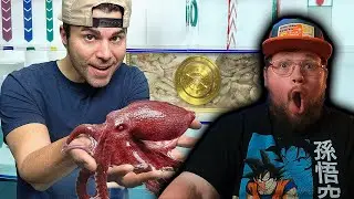 RELEASE THE KRAKEN! | Octopus vs Underwater Maze [REACTION]