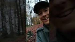 Der Waldweg hin zur Wasserquelle 