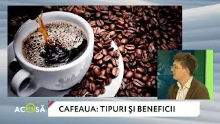 Află totul despre cafea de la expertul Mihai Cerguţa
