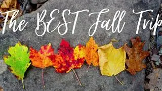 I went on a FALL Road Trip to NEW YORK...
