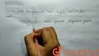 Fucus and Sargassum both shows heterothallic habit .  | CLASS 11 | PLANT KINGDOM  | BIOLOGY | Do...
