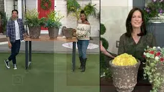 Garden Reflections Set of 3 Fiberclay Planters on QVC