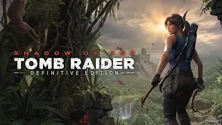 Shadow Of The TOMB RAIDER LIVE