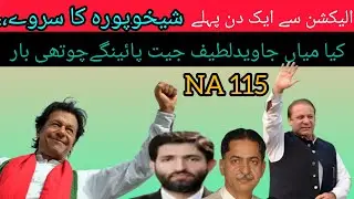 NA-115 Election Survey 2024 | PTI VsPML-N || Election 2024 || Ch Tariq Majeed