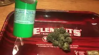 Candy land weed strain