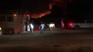 #applefire #fire