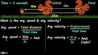 Average speed & velocity | Motion | Physics class 9 | Khan Academy