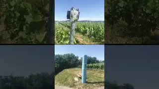 KULTUR & WEIN