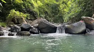 Calming Forest River Water Sounds to Help You Fall Asleep Quickly and Sleep All Night
