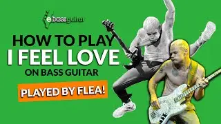 How To Play I Feel Love On The Bass Guitar - Played By Flea