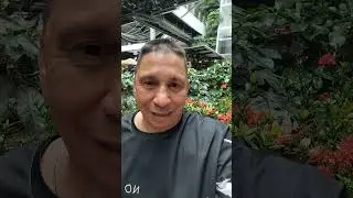 Porque He Decidido Apoyar a Abelardo el Tigre . No hay m&aacute;s Opcion .Firme Por la Patria 🇨🇴