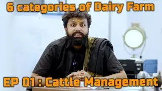 EP 01 | Cattle Management in Dairy Farm 🐄 | My Journey & Future Plan | 6 Categories of Dairy Farm |