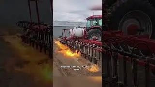 Why Farmers Burn Their Own Fields