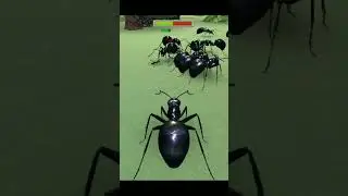 queen VS Queen amazing bug battle2simulator#shorts