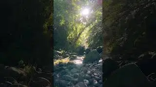 East Oahu hiking adventures: trails with unforgettable views