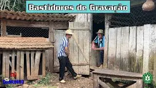 O Galo Atrapalhando