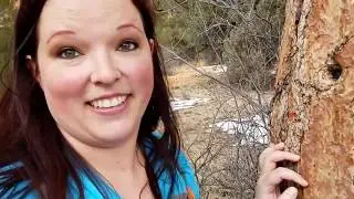 Hiking in Dixie National Forest Utah - What To See In Dixie National Forest