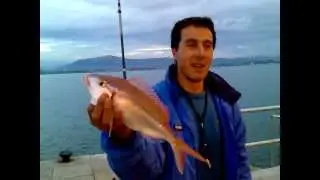 SANTANDER PESCA BREKON