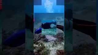 사이드마운트 다이빙 DAY-4