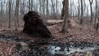 Monmouth Battlefield - Walking Trail 4K (Winter)