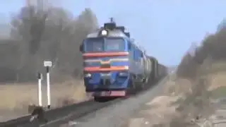Экстремальная собака Extreme Dog Юмор! Прикол! Смех