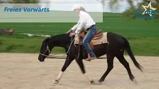 TRAILER Lehrserie 
