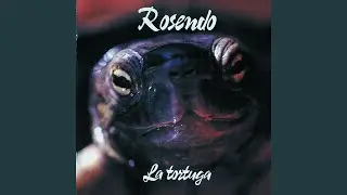 La tortuga