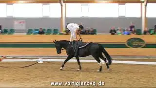 Helena Vezzoni (ITA) - CVI2 Female 15 - CVI Ebreichsdorf 2017