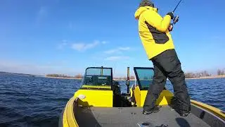 Zander Team UFL тренировка черкассы