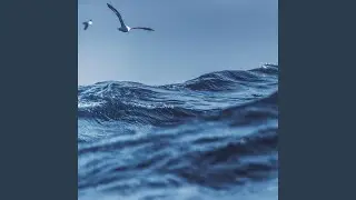 Liquid Yoga
