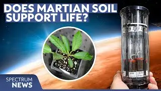 Why growing plants on Mars is harder than it sounds