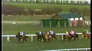 1986 SGB Handicap Chase