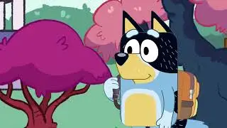 Bandit's Job