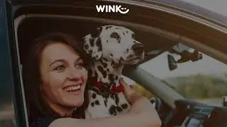 Wink l &iquest;C&oacute;mo pagar el marchamo desde la app Wink?