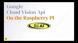 Cloud Vision Api on the Raspberry Pi with GoPro Camera
