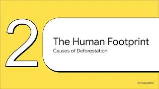 04 Major human activities in tropical rainforests