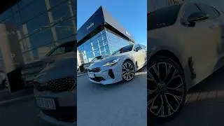 Kia Stinger GTLine w kolorze Ceramic Silver ❤️👌